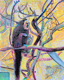 This is a drawing by Dawn Hunter of a White-Face Saki Monkey.