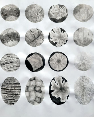 This is an ink drawing of various textures from a natural object(s).