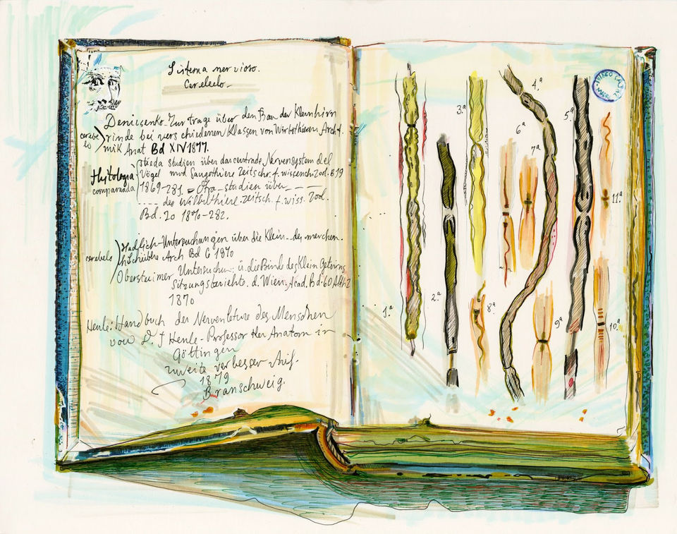 This is an illustration by artist Dawn Hunter of the inside back cover of Cajal's first sketchbook from Valencia.