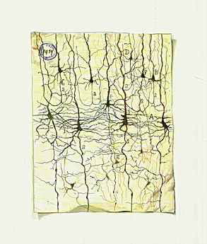 An observational drawing by Dawn Hunter, artistically replicating the original pyramidal neuron illustration by Santiago Ramón y Cajal. The image captures the intricate and complex structure of a pyramidal neuron, demonstrating Hunter's attention to detail and respect for the original work. It represents a homage to Cajal's pioneering work in the field of neuroscience.