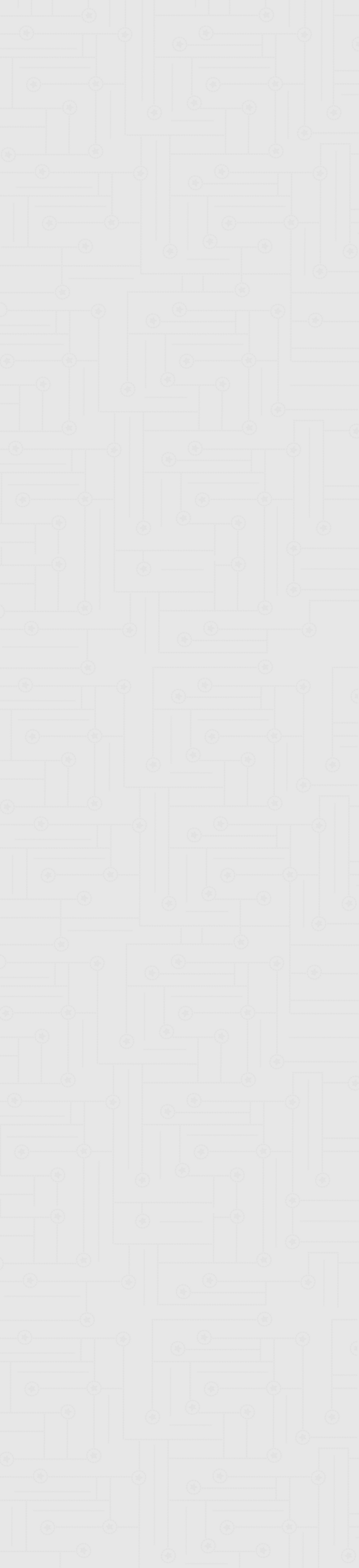 Star Scholars web background.png