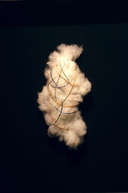 Specimen in Shadow Box #3, 2009