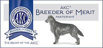 Flat-CoatedRetriever_BoM_Banner.jpg