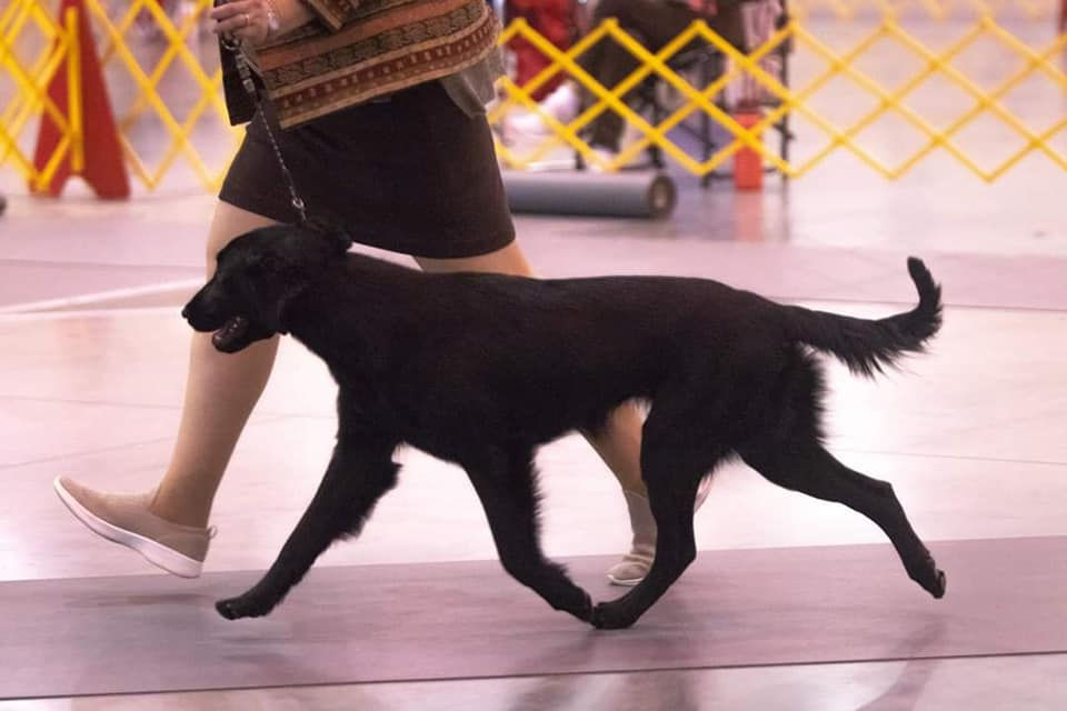 129178773_10157803386582005_8342891241108590802_n