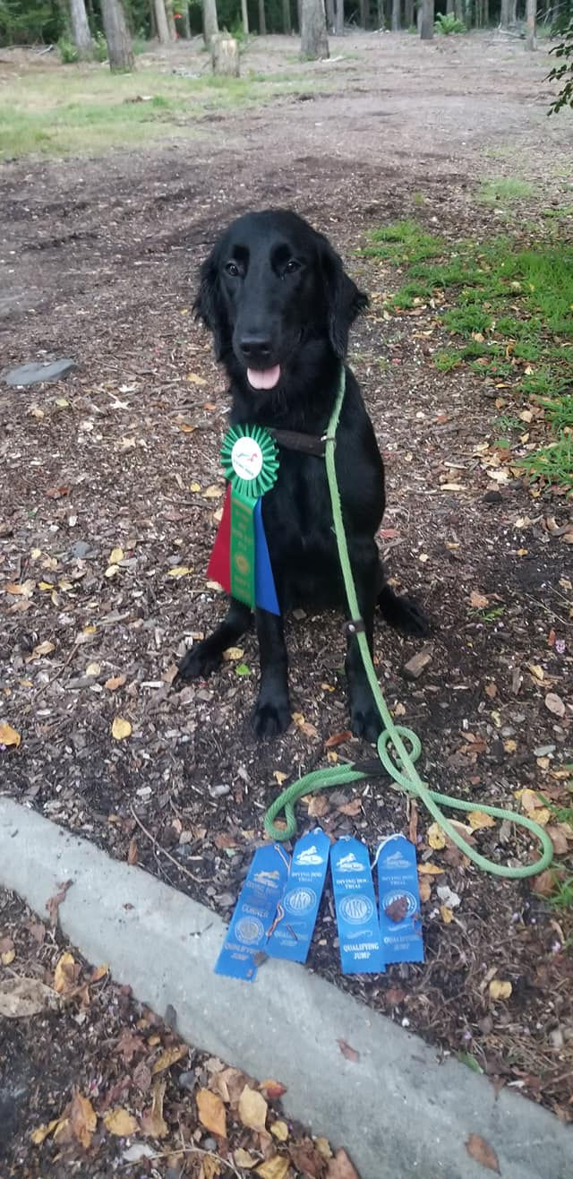 129056472_10157803517652005_2964478704905210705_n