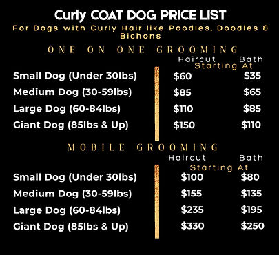 Black and Gold Makeup Artist Price List (1)_edited.jpg