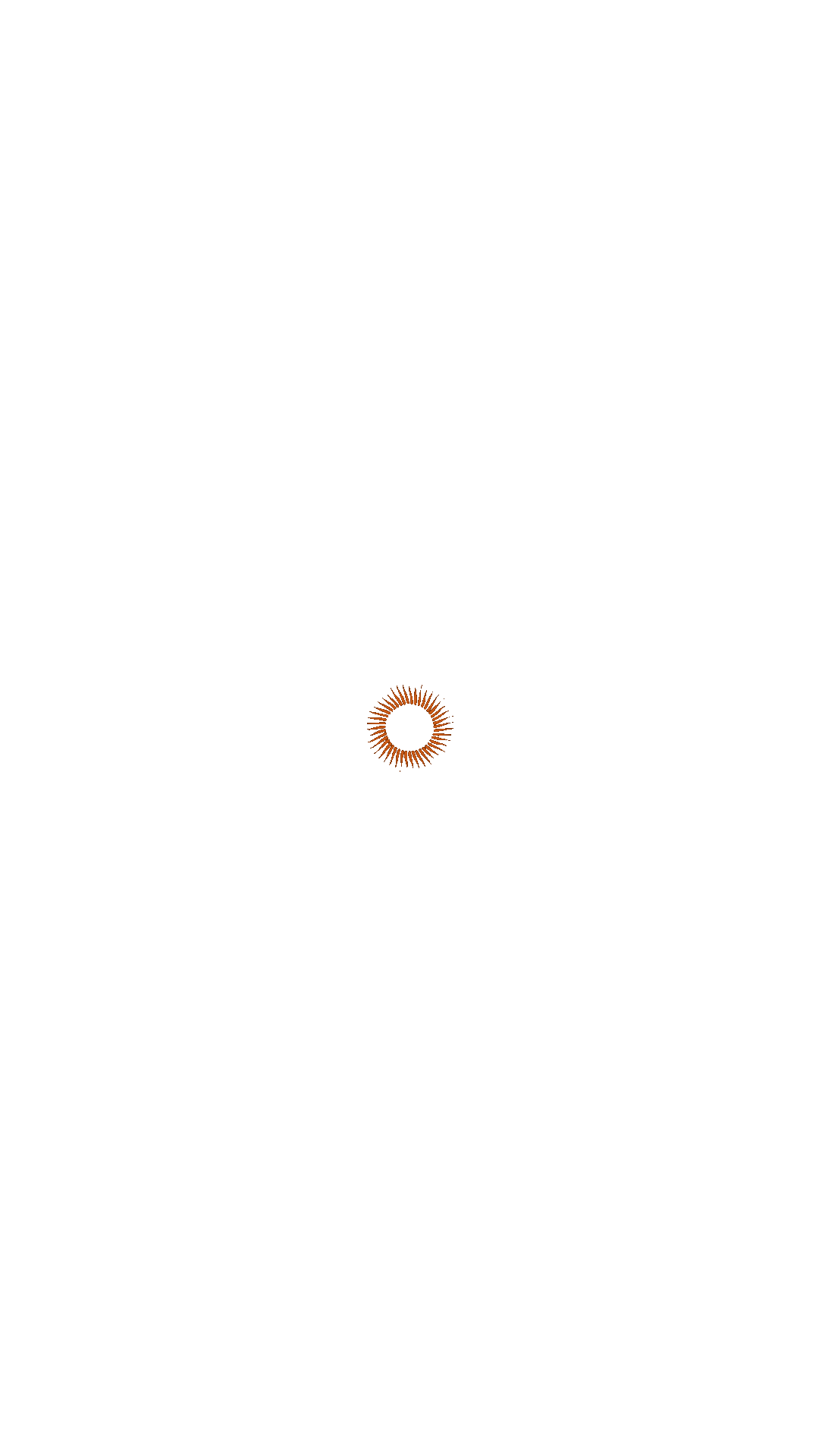 GIF Soleil