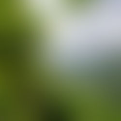 OTG's Top 5 Hikes in NWA