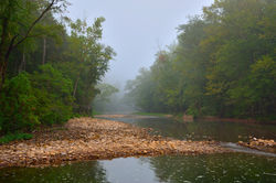 BUFFALO RIVER