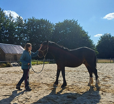 WhatsApp Image 2025-07-29 at 13.37.02_4ce5b611.jpg