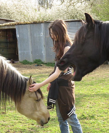 Shadow & forest (2).JPG