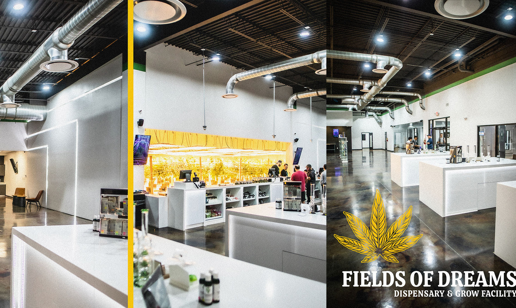 HOME | Fields of Dreams