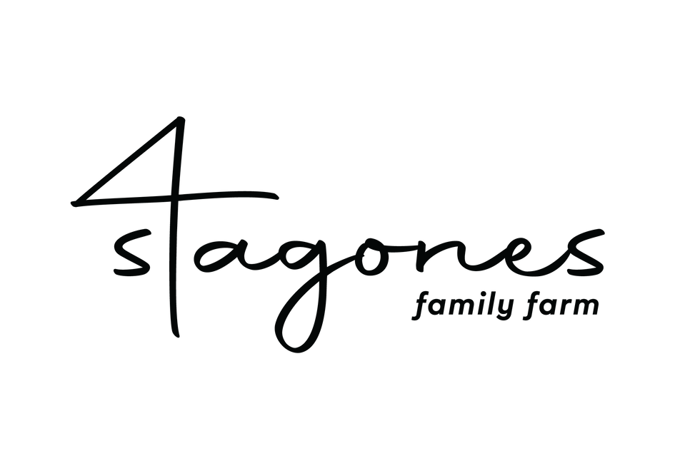 LOGO_4STAGONES_black.png