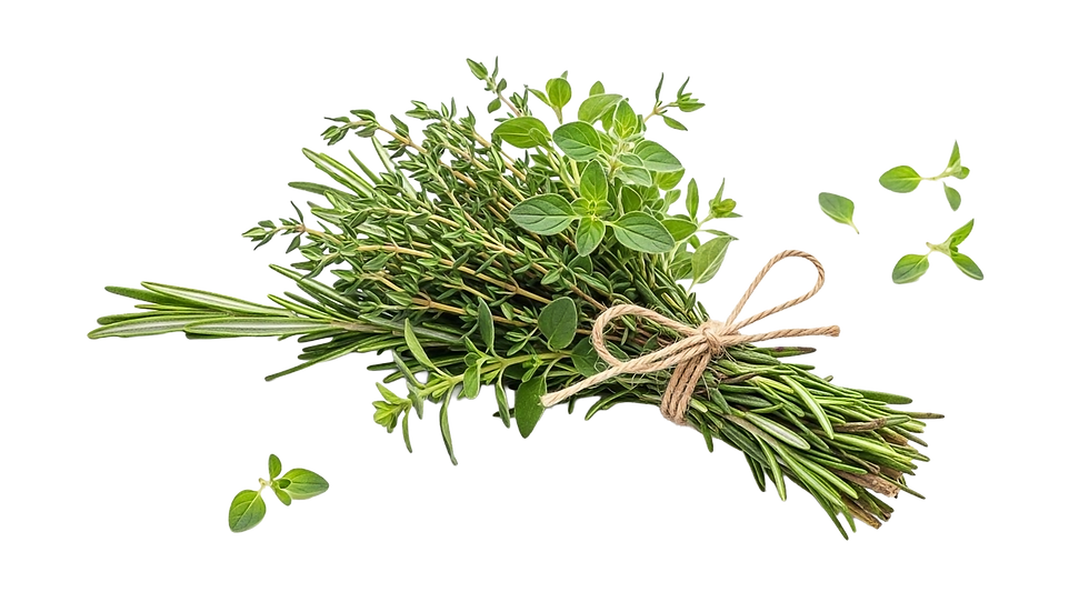 fresh-herbs-bunch-tied-with-twine-white-background.png