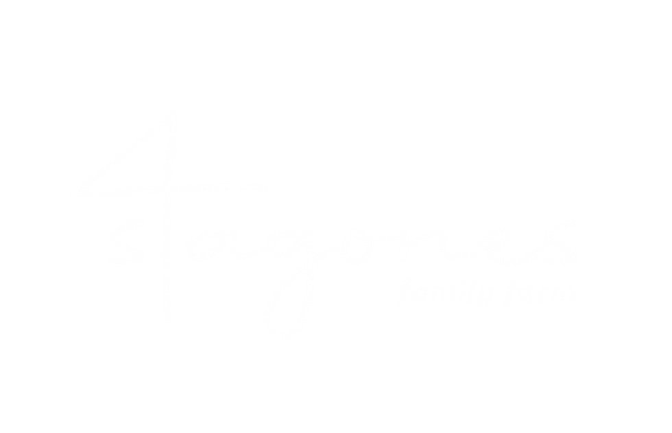LOGO_4STAGONES_white.png