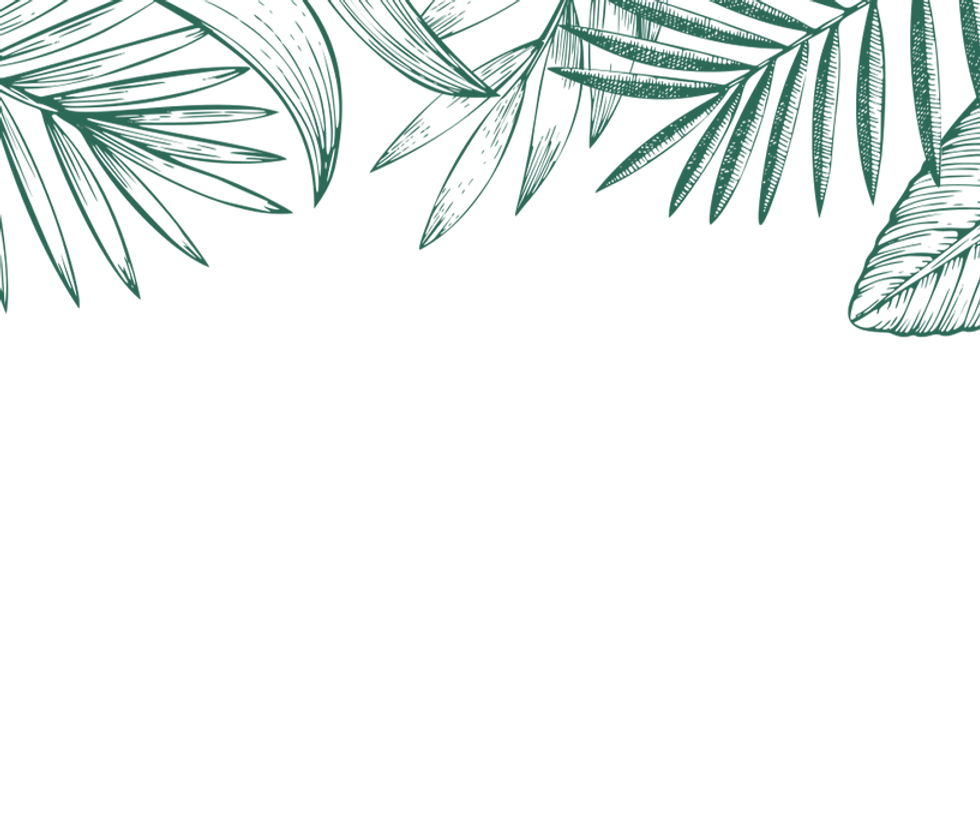 header-leaves.png