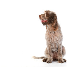 Theorie-Kurs vor Ort