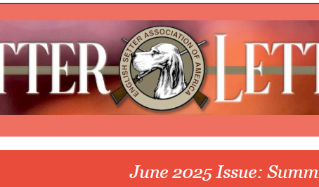 ESAA June 2025 Setter Letter: Summer Edition