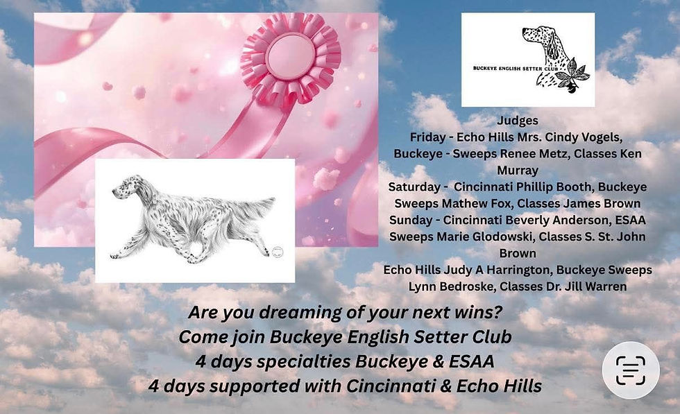 Buckeye English Setter Club Specialties with ESAA - 4 DAYS!