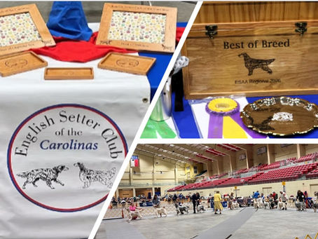 2026 ESCC/ESAA Combined Specialty RETROSPECTIVE