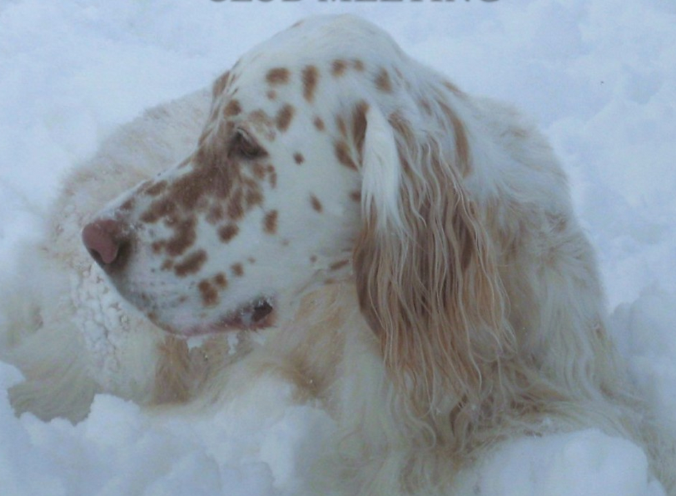 ESCC Club Meeting - Jan. 3, 2026 at Clemson Dog Show