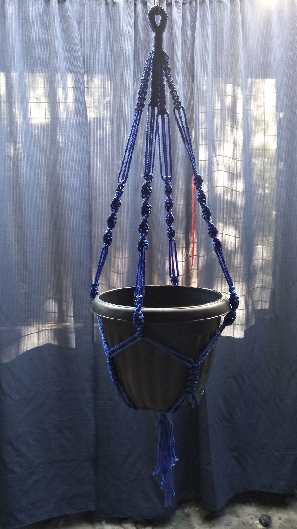 Thumbnail: Plant Hangers