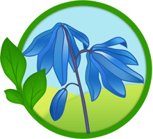 03_пролісок.gif