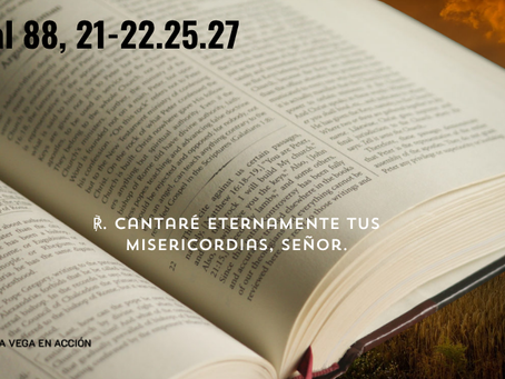 Salmo del día