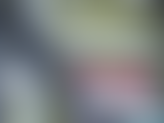 Trasladan a Alligator Alcatraz a migrante haitiano detenido en Puerto Rico cuando acudía a hospital