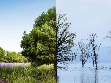 ONU: La falta de fondos para que países pobres combatan al cambio climático amenaza vidas