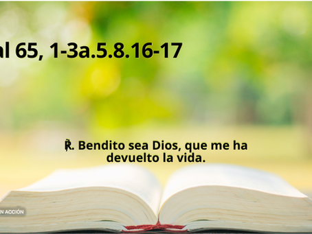 Salmo del hoy