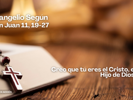 Evangelio de hoy; san Juan 11, 19-27