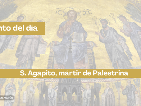 Santo del día