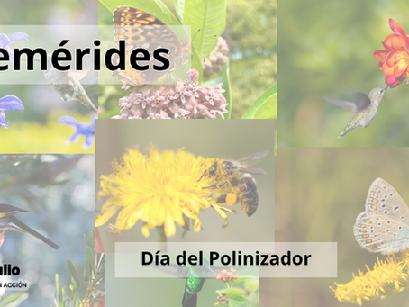Efemérides