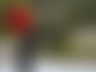 Luego de dos años de ausencia, Tiger Woods regresa para jugar la final de la TGL