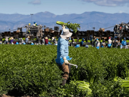 Inmigrantes tienen poco que celebrar el Día del Trabajo en EE. UU. debido a las redadas