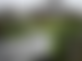 El caso de tres bebés abandonados en Londres y ocho años de investigación