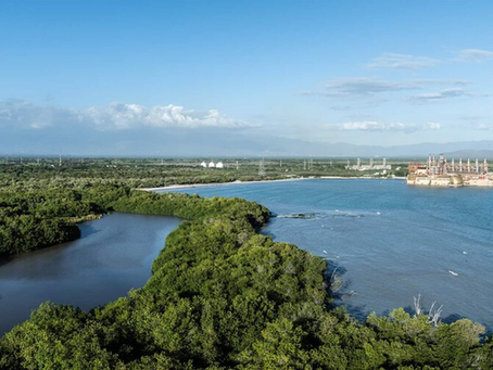 Caribe ante una encrucijada: conferencia global busca dejar atrás los combustibles fósiles
