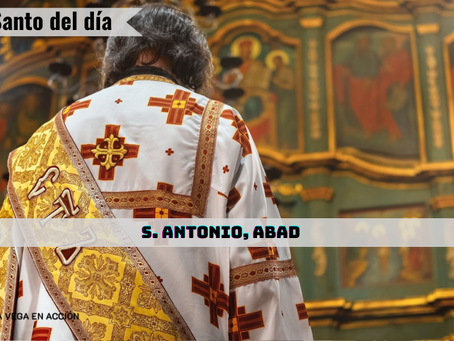 Santo del día 