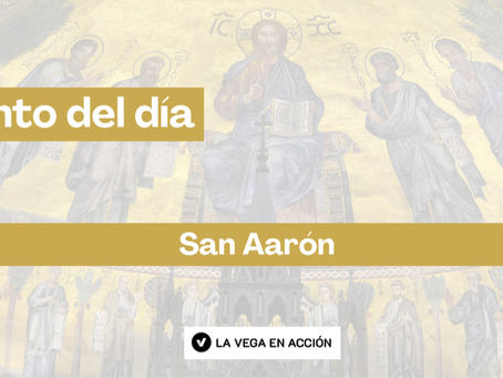 Santo del día