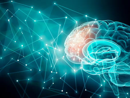 La memoria no solo está en el cerebro: así actúa el cuerpo entero, según la ciencia