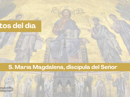 Santo del día