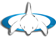 logo.png