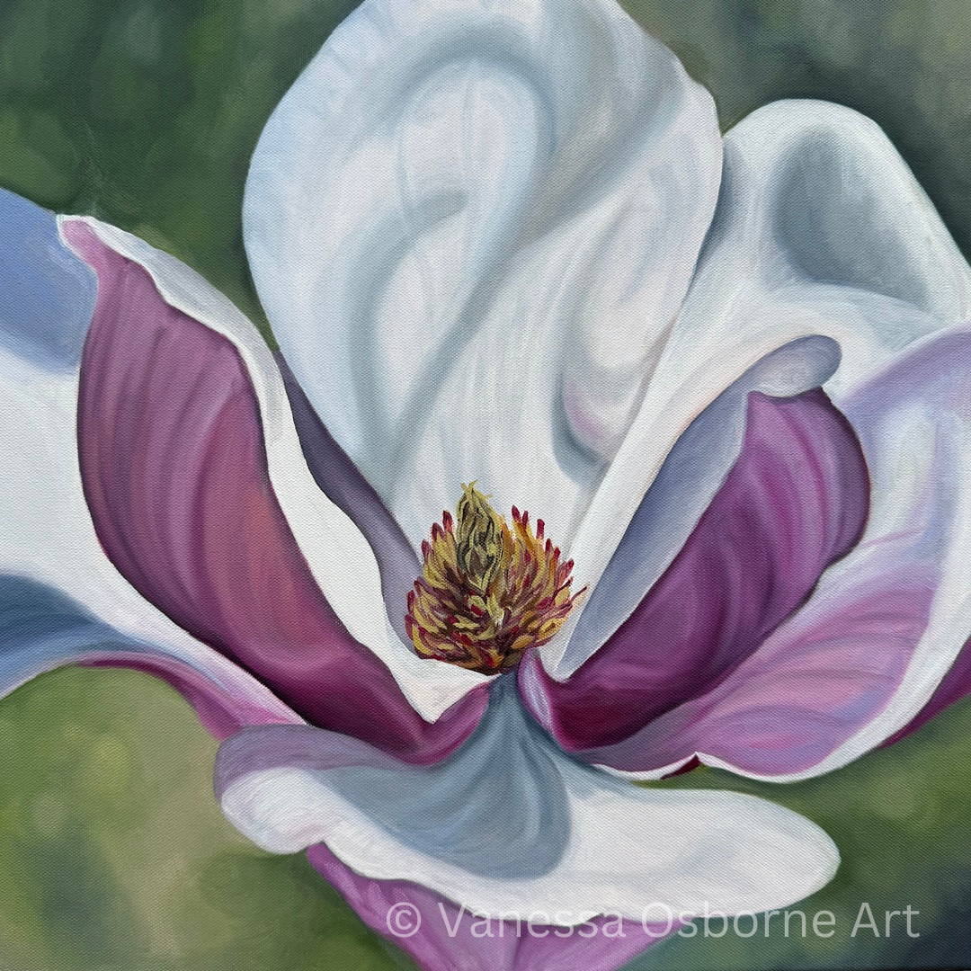 Sweet Magnolia