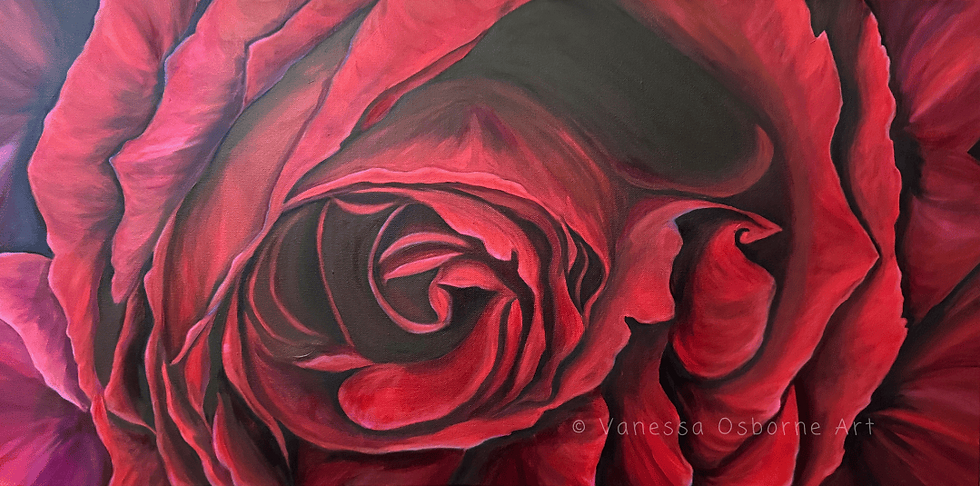 The luscious Papa Meilland rose - oil painting on canvas. Painted by Vanessa Osborne.