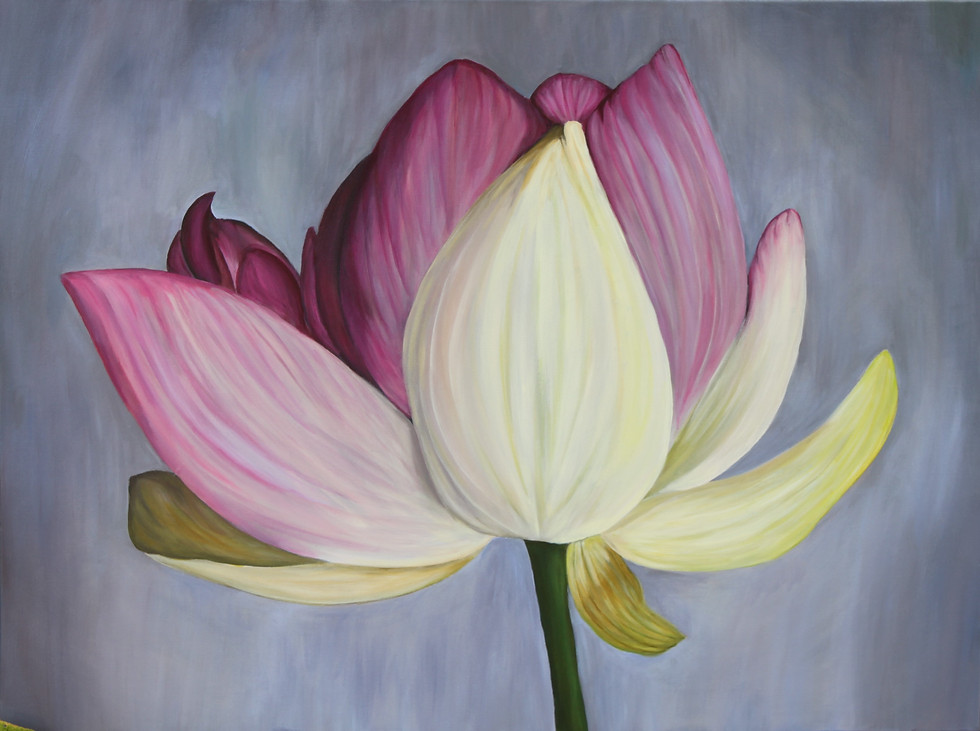 Thumbnail: Sacred Lotus