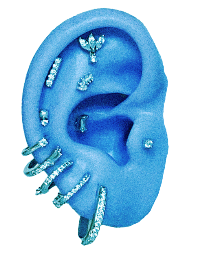 studs-ear-mirror.gif