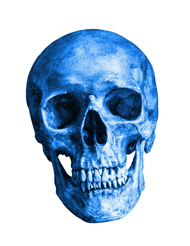 skull.gif