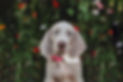 Heather Blackwell Photography -2.JPG