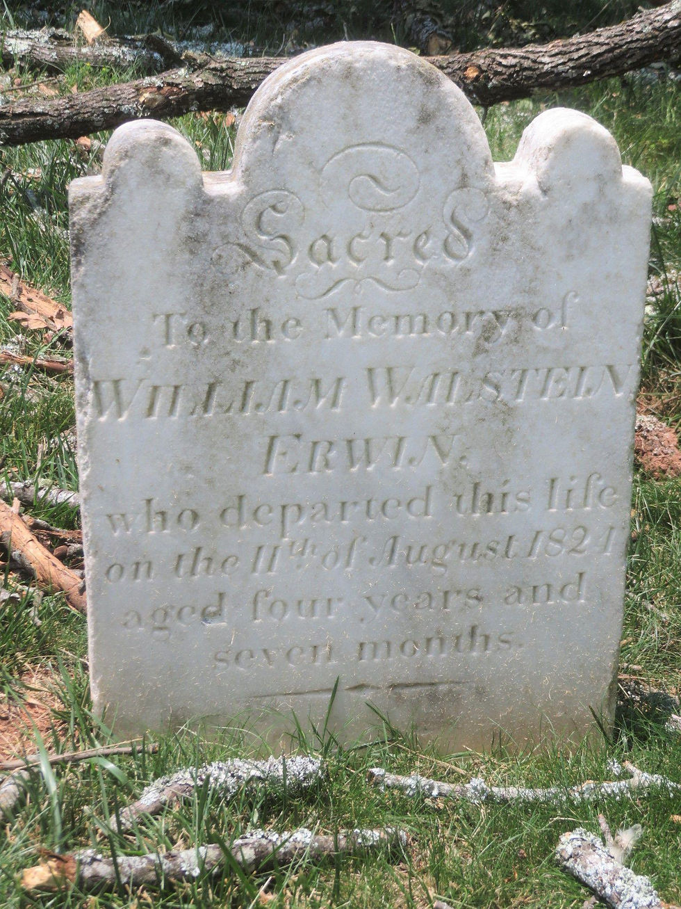 William Walstein Erwin.jpg